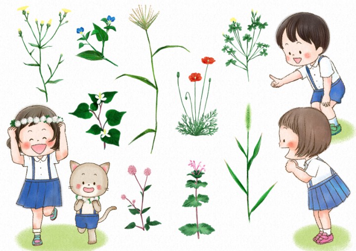 いろんなお花