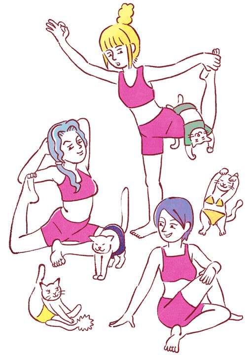 ネコとヨガ