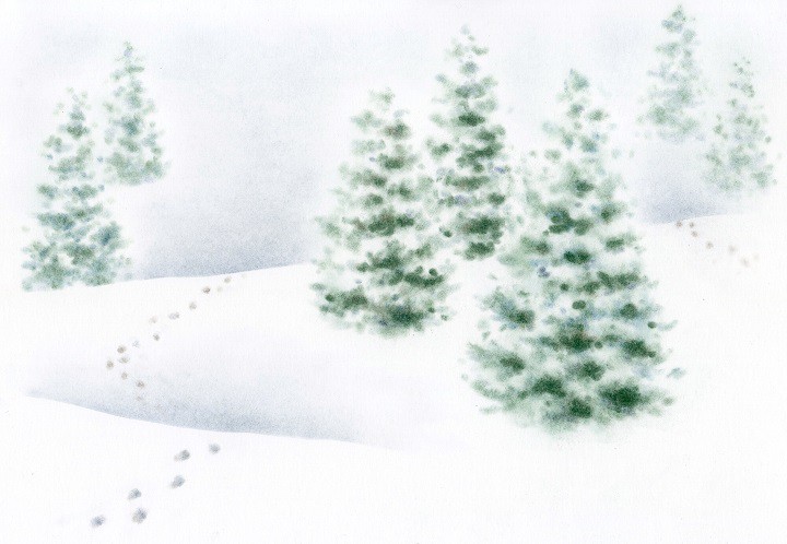 新雪