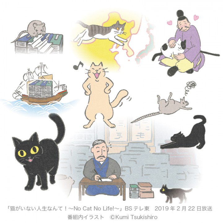 「猫がいない人生なんて！〜No Cat No Life!〜」（BSテレ東　2019年2月22日放送）　 番組内イラスト