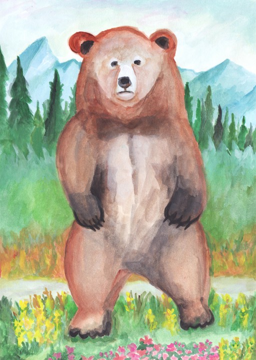 Brown bear