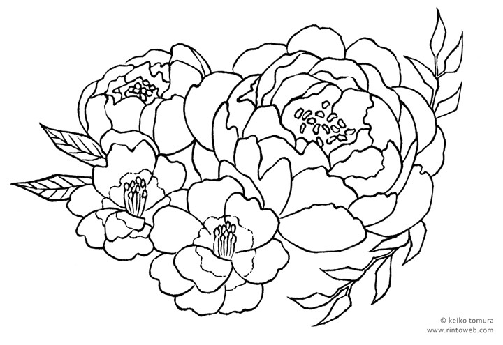 塗り絵　 Flowers１