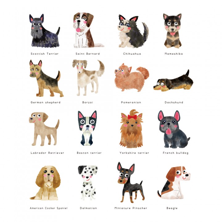 世界のわんこたち