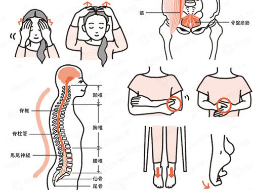 書籍「体調は血流が9割」イラスト制作
