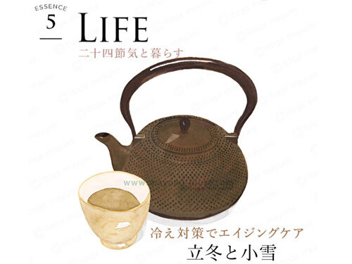 持田ヘルスケア / Simple + / 11月号