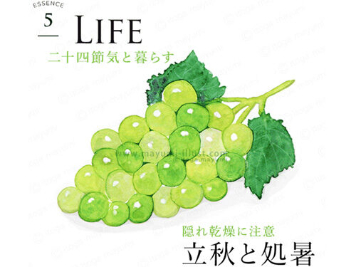 持田ヘルスケア / Simple + / 8月号