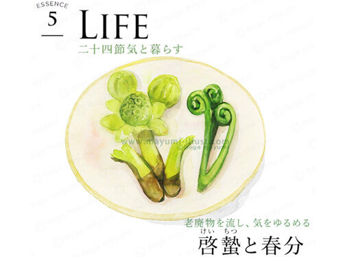 持田ヘルスケア / Simple + / ３月号