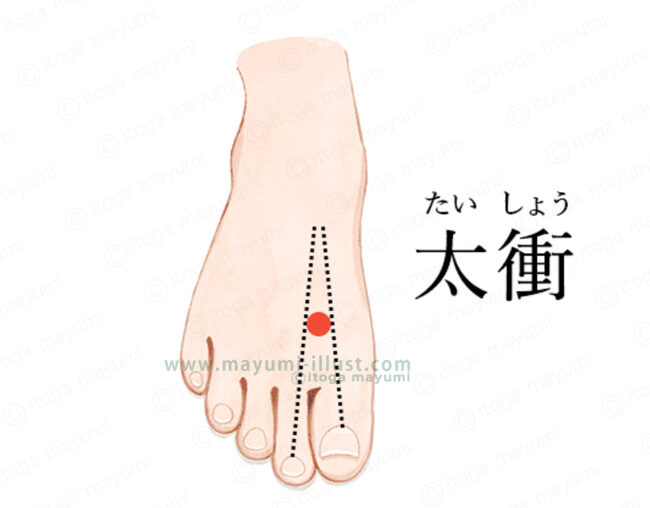 持田ヘルスケア / Simple + / ４月号