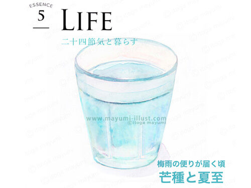 持田ヘルスケア / Simple + / 6月号