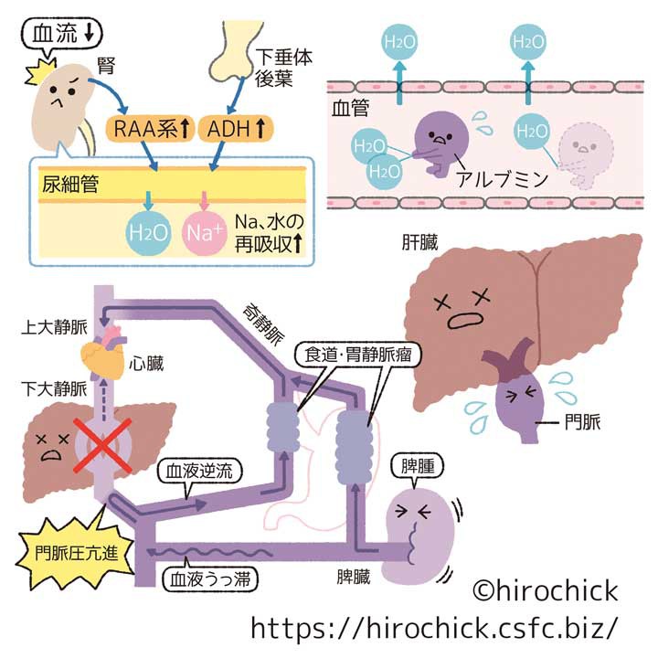 専門誌 エキスパート ナース イラスト制作