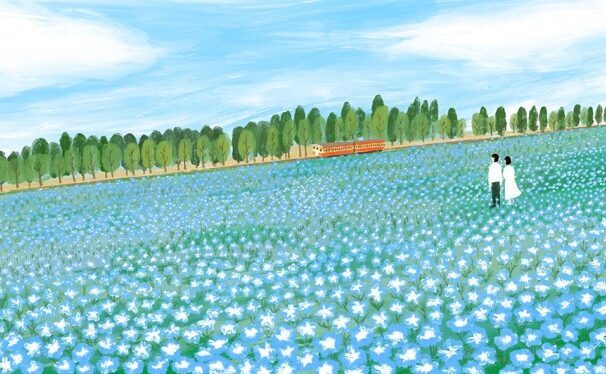ネモフィラの花畑 - イラストレーターズ通信 ネモフィラの花畑 - イラストレーターズ通信