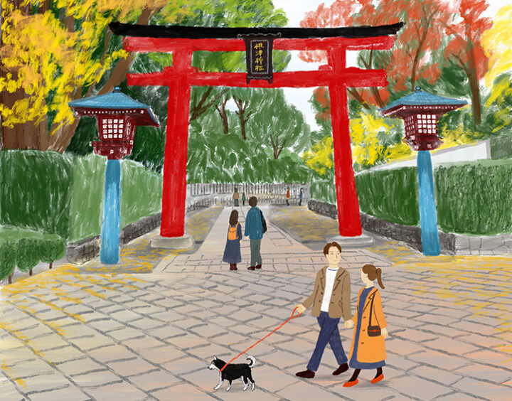 秋の根津神社