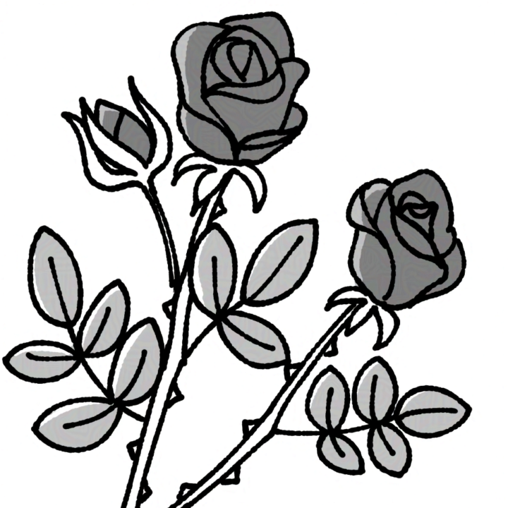 花のイラスト　5点