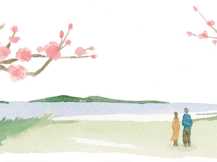 主婦の友社「ゆうゆう」2025年2月号