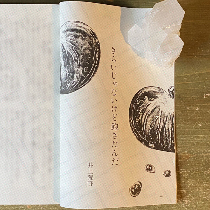 すばる 2024年9月号 小説『きらいじゃないけど飽きたんだ』扉