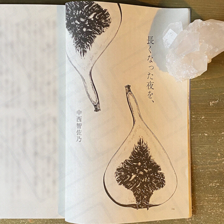 すばる 2024年9月号 小説『長くなった夜を、』扉