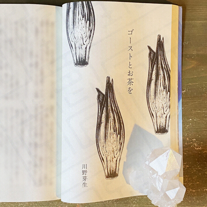 すばる 2024年9月号 小説『ゴーストとお茶を』扉