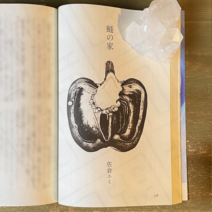 すばる 2024年9月号 小説『蛹の家』扉