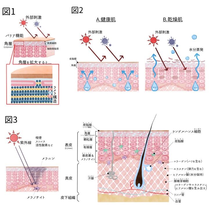 株式会社ブリス様　書籍挿絵