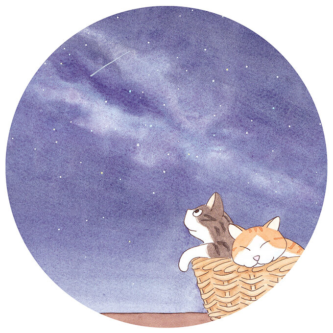 猫のイラスト