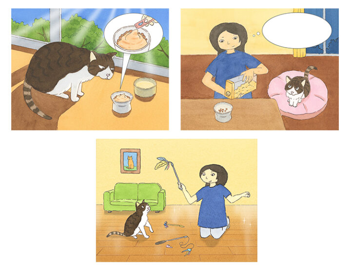 ねこのきもち７月号