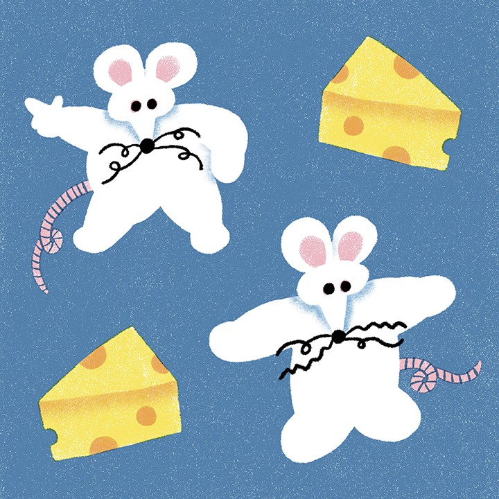 ネズミとチーズ