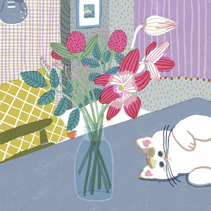 部屋と猫
