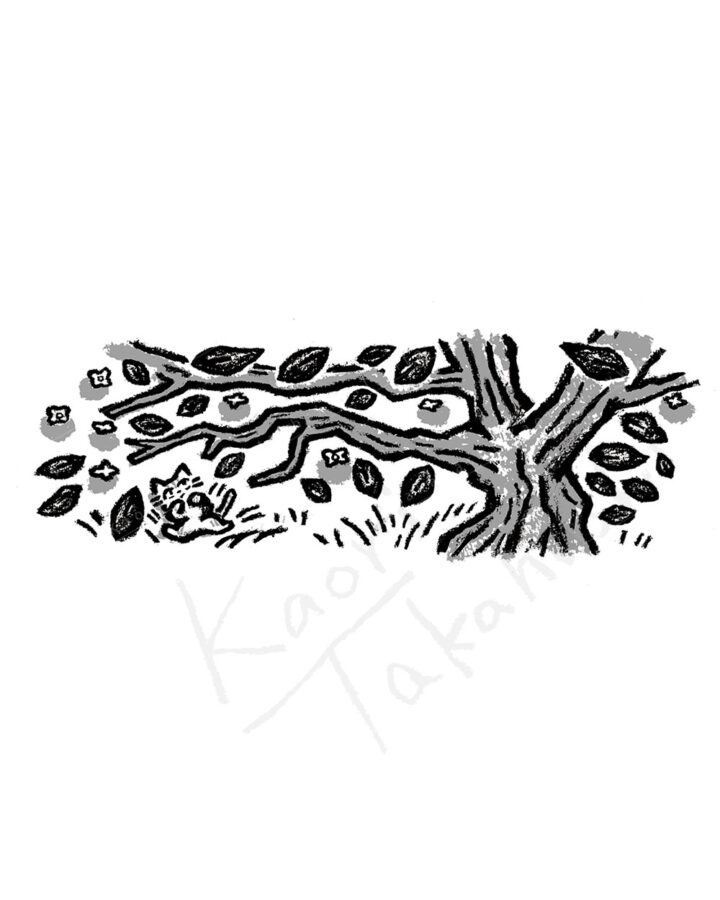 『ノラと柿の木』挿絵