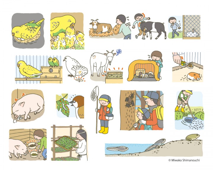 「コツがまるわかり！ 生き物の飼いかた」ポプラ社 