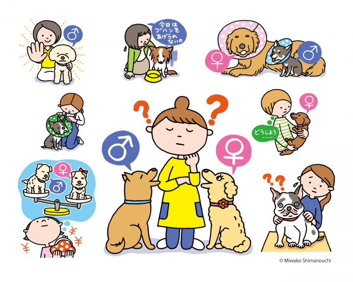「いぬのきもち」ベネッセ
