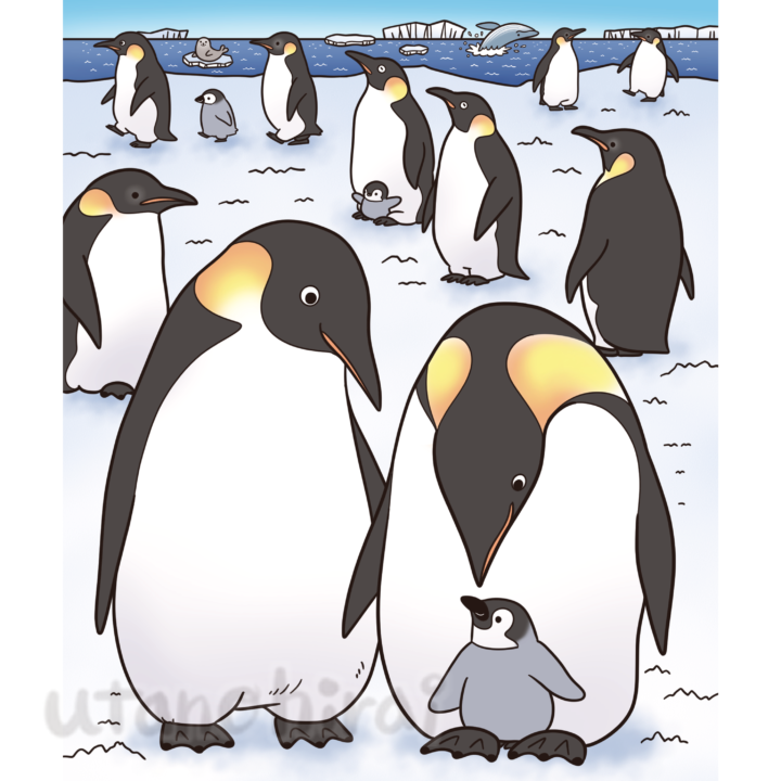 コウテイペンギンのイラスト