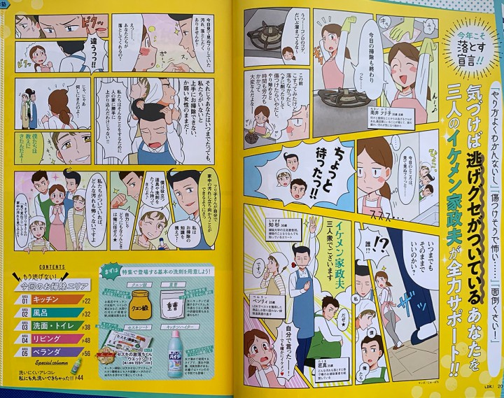 LDK 12月号　お掃除ページ イラスト・漫画制作