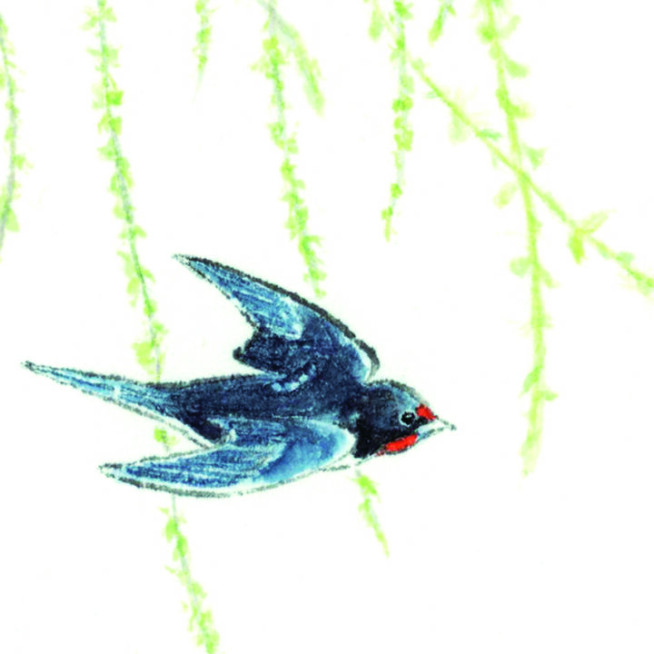 池田 衣絵