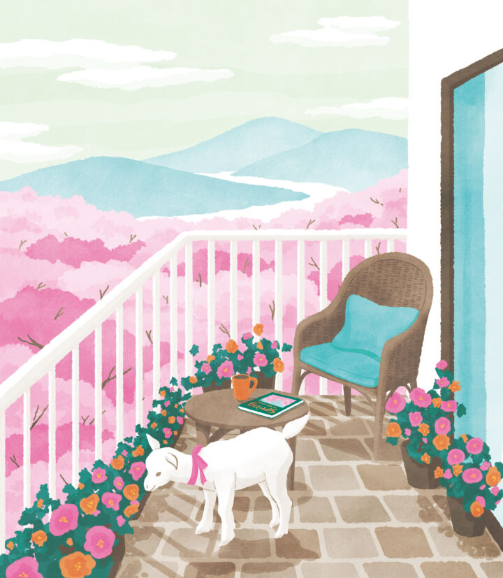 季報「住宅金融」2025年春号 表紙イラスト