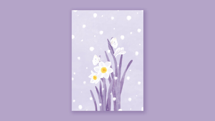 月刊情報誌「Amelia」2月号 表紙イラスト