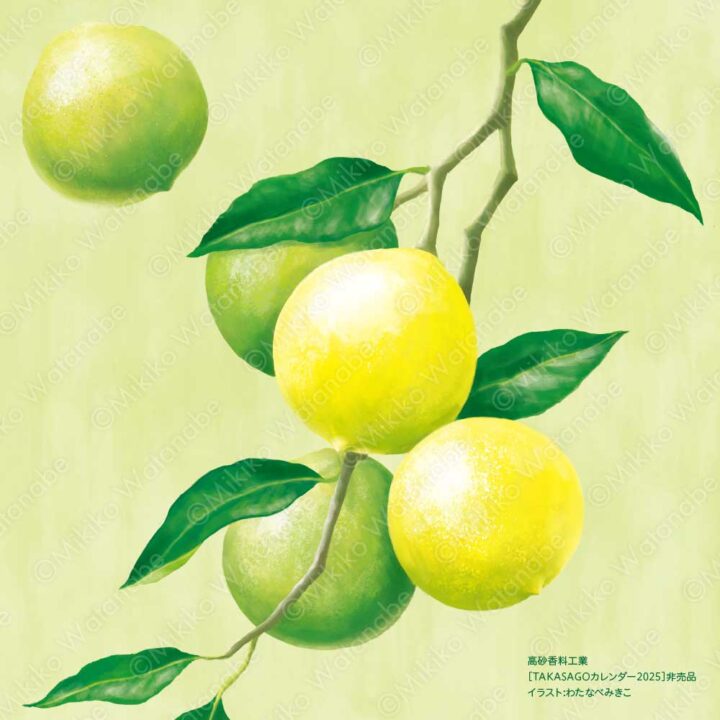 植物（ベルガモット） | 企業カレンダー