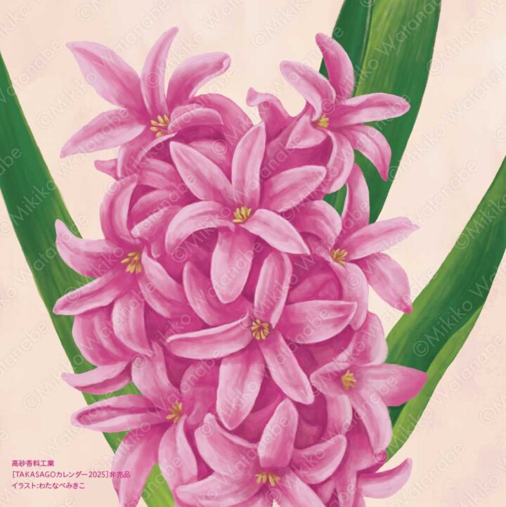 花・植物（ヒヤシンス） | 企業カレンダー