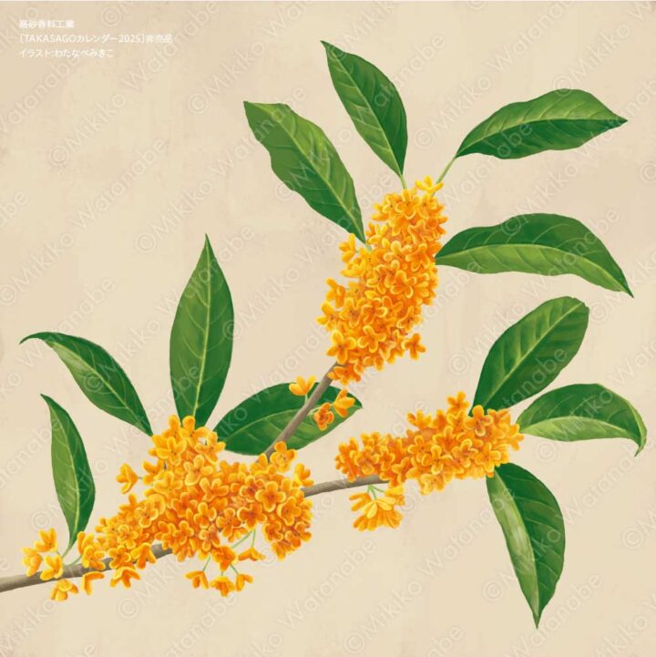 花・植物（キンモクセイ） | 企業カレンダー