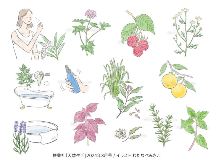 植物 女性向け ライフスタイル | 扶桑社『天然生活』