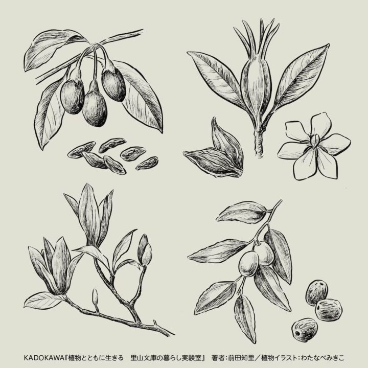 モノクロペン画風のボタニカル(植物)イラスト