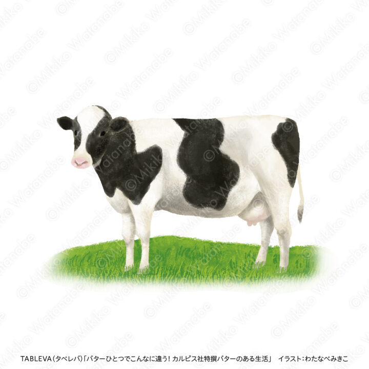 乳牛のイラスト