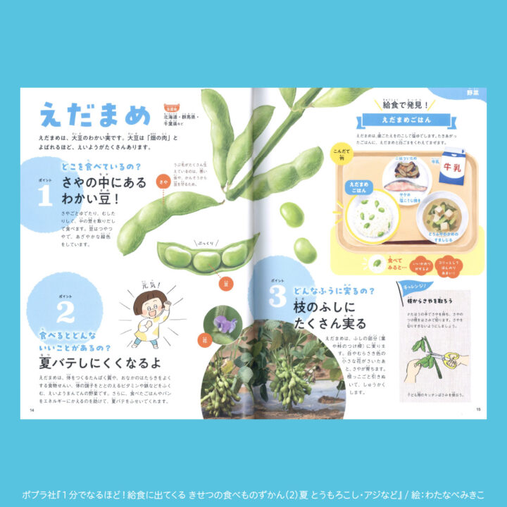 枝豆のイラストのページ