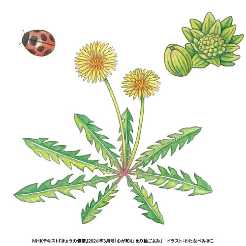 『きょうの健康』3月号 | 春のカレンダー