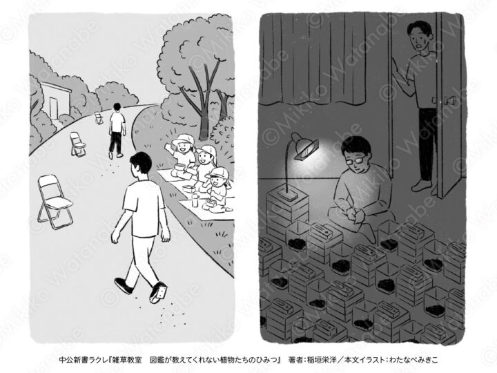 モノクロ シンプル挿絵 | 書籍『雑草教室』