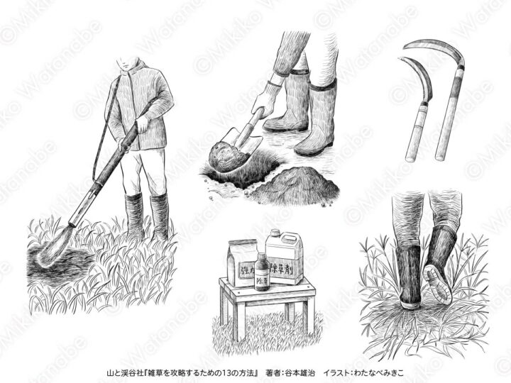 モノクロ ペン画 人物 園芸 | 書籍挿絵