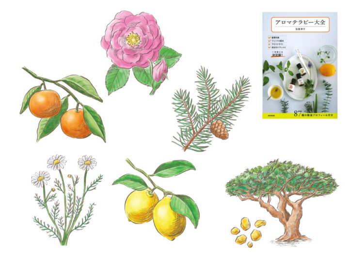 ナチュラル おしゃれ 植物 『アロマテラピー大全』