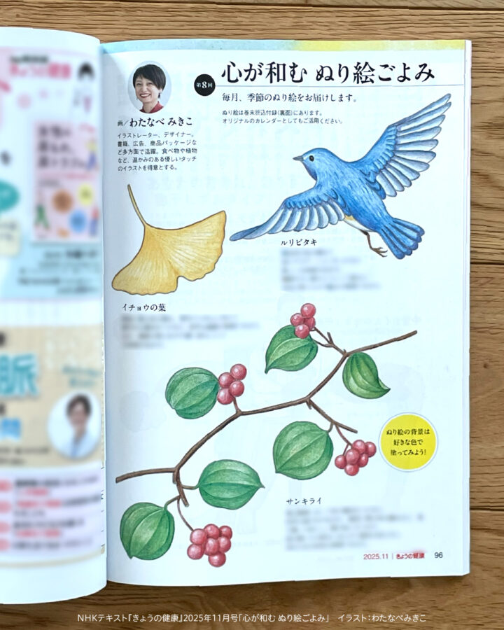 色鉛筆のぬり見本