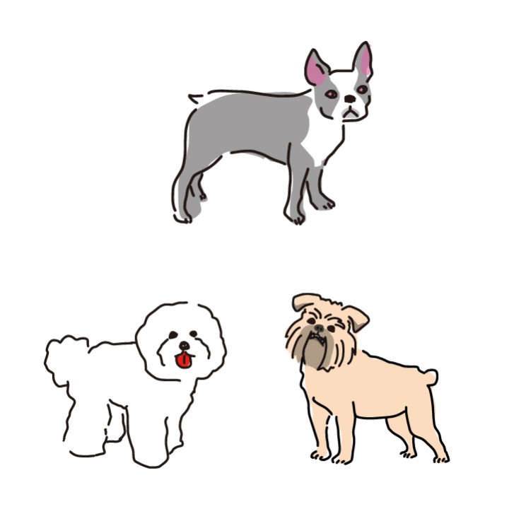 動物シリーズ