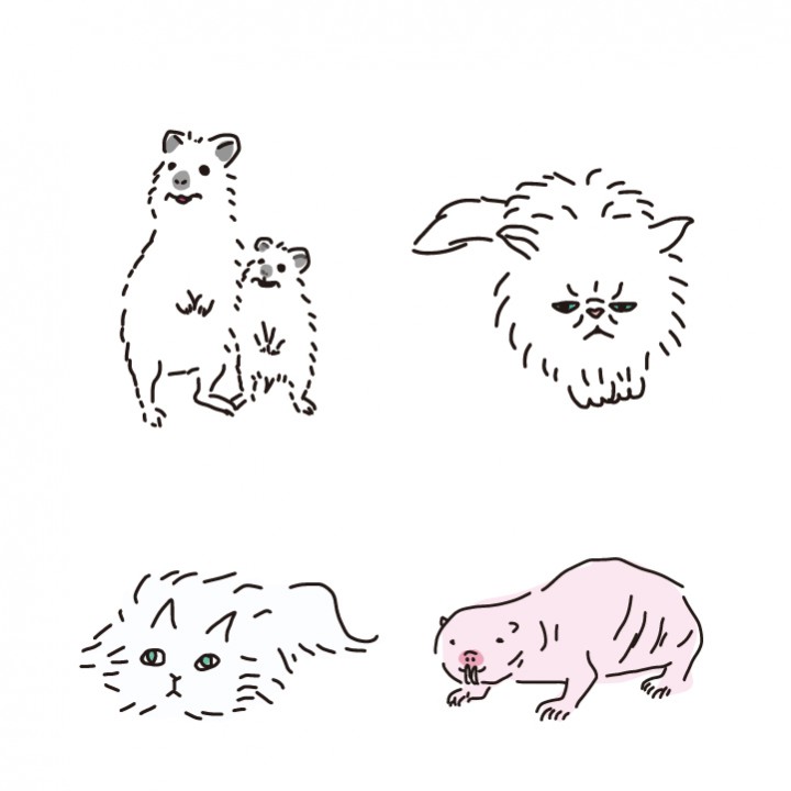 動物シリーズ