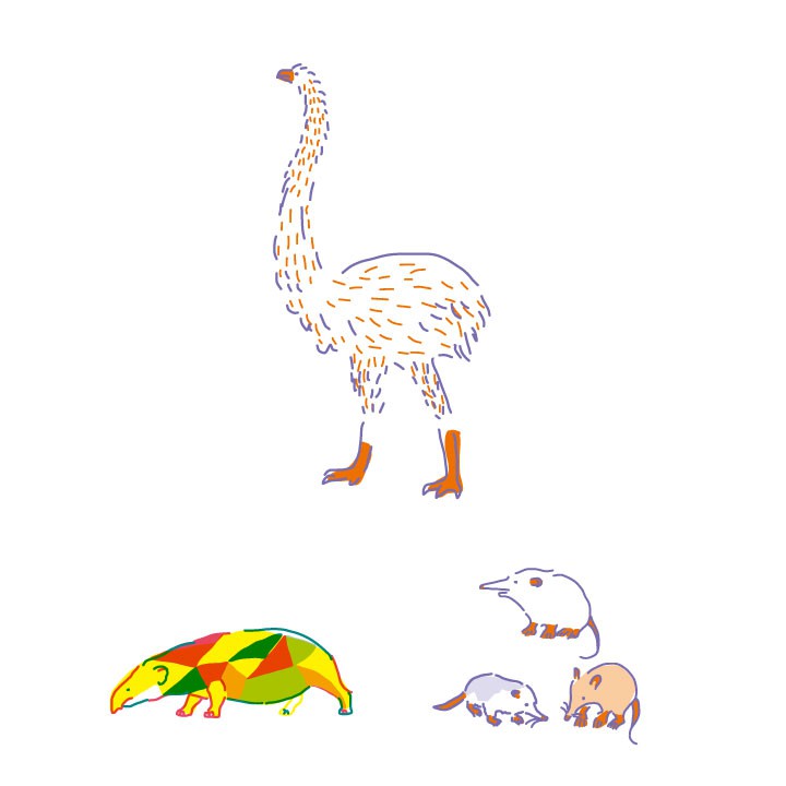 おおむかしの生き物